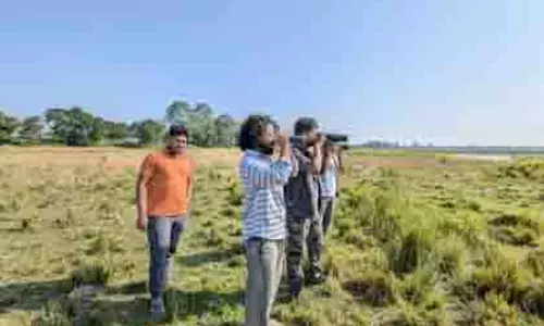 Assam के काजीरंगा में नवीनतम सर्वेक्षण में 146 पक्षी प्रजातियां दर्ज की गईं