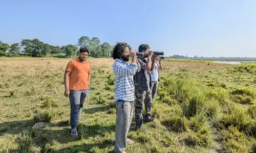 Assam के काजीरंगा में नवीनतम सर्वेक्षण में 146 पक्षी प्रजातियां दर्ज की गईं Assam के काजीरंगा में नवीनतम सर्वेक्षण में 146 पक्षी प्रजातियां दर्ज की गईं
