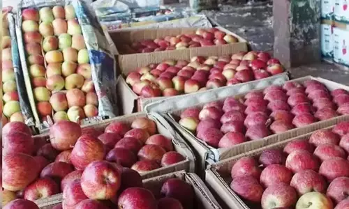 Sikkim : जम्मू-कश्मीर सरकार सेबों में कृत्रिम रंग डालने पर रोक लगाएगी