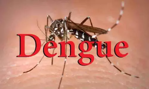 JAMMU: डेंगू के 36 नए मामले सामने आए