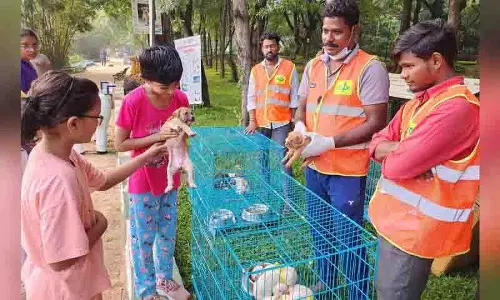 जेवीआर पार्क में GHMC अभियान में 11 इंडी पिल्लों को गोद लिया गया