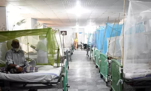 पाकिस्तान के कराची और हैदराबाद में डेंगू ने महामारी का रूप लिया