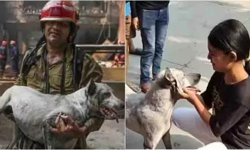 Delhi फायरफाइटर ने ब्रह्मपुत्र अपार्टमेंट की आग में कुत्ते को बचाया Delhi फायरफाइटर ने ब्रह्मपुत्र अपार्टमेंट की आग में कुत्ते को बचाया