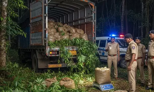 Truck में 280 किलो गांजा बरामद, 3 तस्कर गिरफ्तार