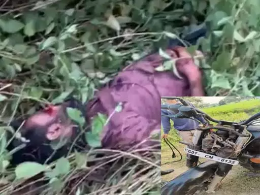 बिलासपुर नेशनल हाईवे में युवक की मौत, क्षतिग्रस्त हालत में मिली बाइक बिलासपुर नेशनल हाईवे में युवक की मौत, क्षतिग्रस्त हालत में मिली बाइक