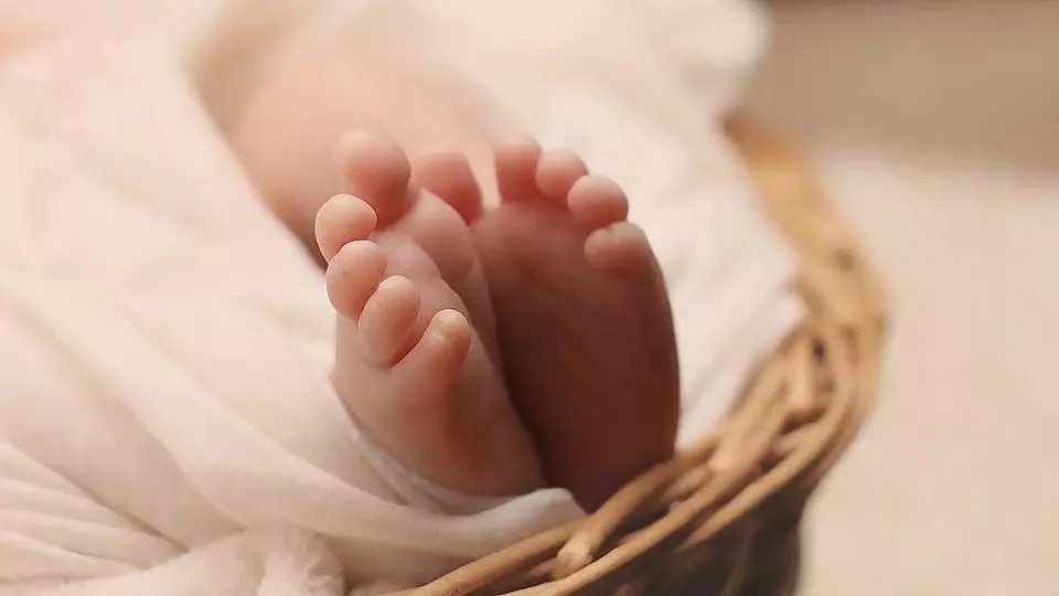 Mumbai : मलाड वेस्ट में एंथनी टावर के पीछे लावारिस हालत में मिली नवजात बच्ची Mumbai : मलाड वेस्ट में एंथनी टावर के पीछे लावारिस हालत में मिली नवजात बच्ची
