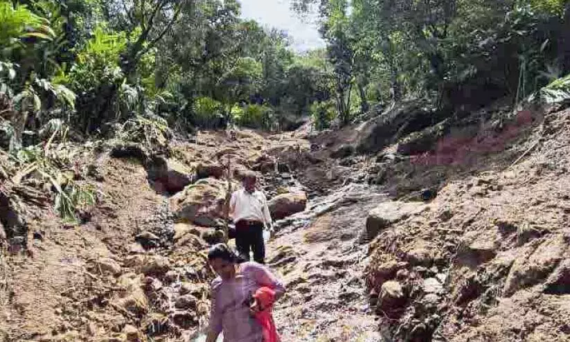 लैंडस्लाइड से बहुत नुकसान हुआ; चार लाख हेक्टेयर इलायची की फसल बह गई लैंडस्लाइड से बहुत नुकसान हुआ; चार लाख हेक्टेयर इलायची की फसल बह गई