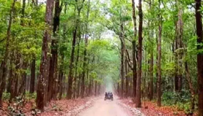 वन विज्ञान केंद्र : आदिवासियों और किसानों की आजीविका को मिलेगी नई उड़ान वन विज्ञान केंद्र : आदिवासियों और किसानों की आजीविका को मिलेगी नई उड़ान