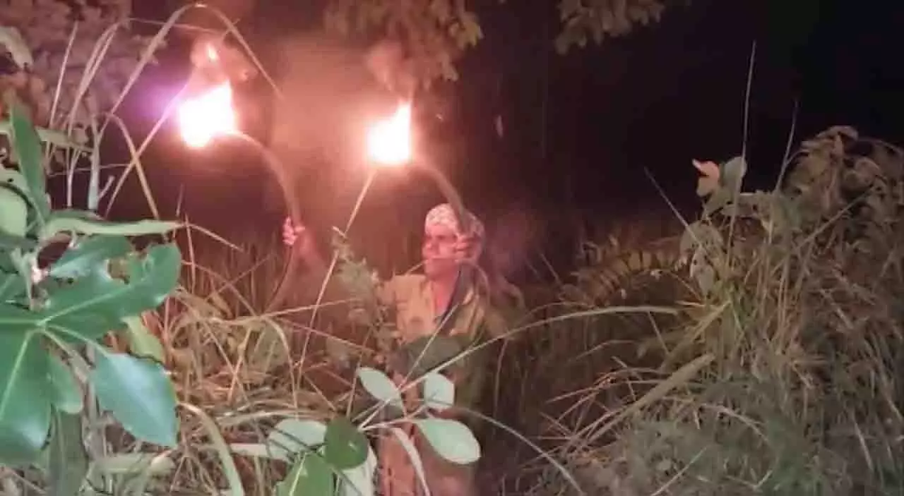 Dhenkanal में वन्यजीवों से फसलों को बचाने के लिए किसान बने चौकीदार Dhenkanal में वन्यजीवों से फसलों को बचाने के लिए किसान बने चौकीदार