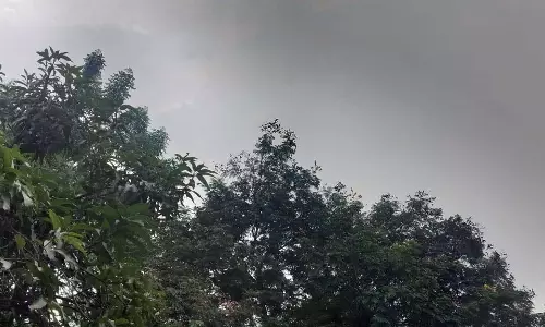 रायपुर में बदली, कई जिलों में भी हल्की से मध्यम बारिश होने के आसार