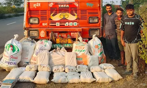 MP : ग्वालियर में पुलिस ने ट्रक से 280 किलो गांजा बरामद किया