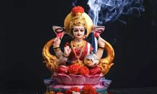 Diwali Lakshmi Murti: जानिए  दिवाली पर लक्ष्मी जी की कौन सी मूर्ति की पूजा करनी चाहिए
