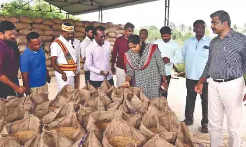 Tamil Nadu: जिला कलेक्टरों ने खरीद प्रक्रिया का जायजा लिया Tamil Nadu: जिला कलेक्टरों ने खरीद प्रक्रिया का जायजा लिया