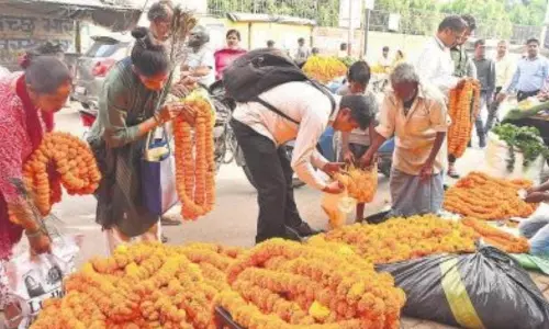 Bareilly में दीपोत्सव पर फूलों की बिक्री ने तोड़ा रिकॉर्ड Bareilly में दीपोत्सव पर फूलों की बिक्री ने तोड़ा रिकॉर्ड