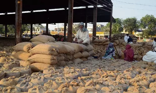 Haryana :  करनाल की मंडियों में 2.33 लाख मीट्रिक टन की बढ़ोतरी