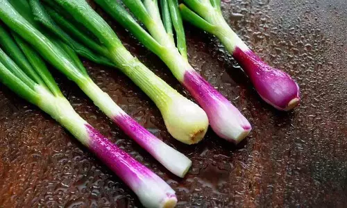 इन अद्भुत स्वास्थ्य लाभों के लिए रोज़ाना खाएं हरा प्याज
