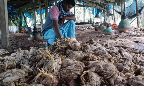 Kerala : सड़क किनारे दुकान पर बादल फटने से लाखों का नुकसान