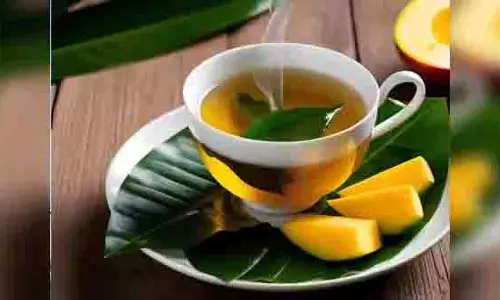 ब्लड शुगर से वजन घटाने तक — सेहतमंद है आम के पत्तों की हर्बल चाय ब्लड शुगर से वजन घटाने तक — सेहतमंद है आम के पत्तों की हर्बल चाय