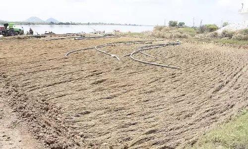 भारी बारिश और भीमा नदी में बाढ़; 1.42 लाख हेक्टेयर फसलें खराब हो गई