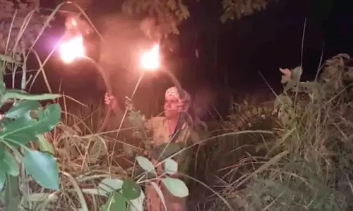 Dhenkanal में वन्यजीवों से फसलों को बचाने के लिए किसान बने चौकीदार
