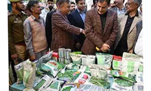 कृत्रिम फल रंग पर दंडात्मक कानून जल्द: Dar