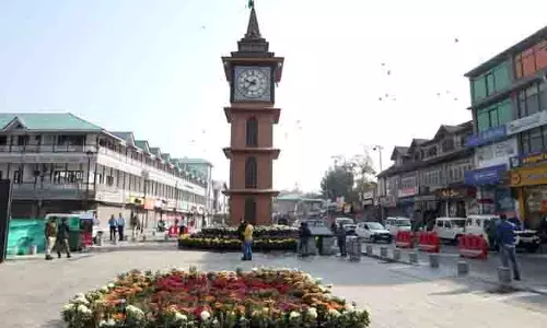Lal Chowk में पर्यटकों को आकर्षित करने के लिए 3,000 गुलदाउदी के फूल खिले