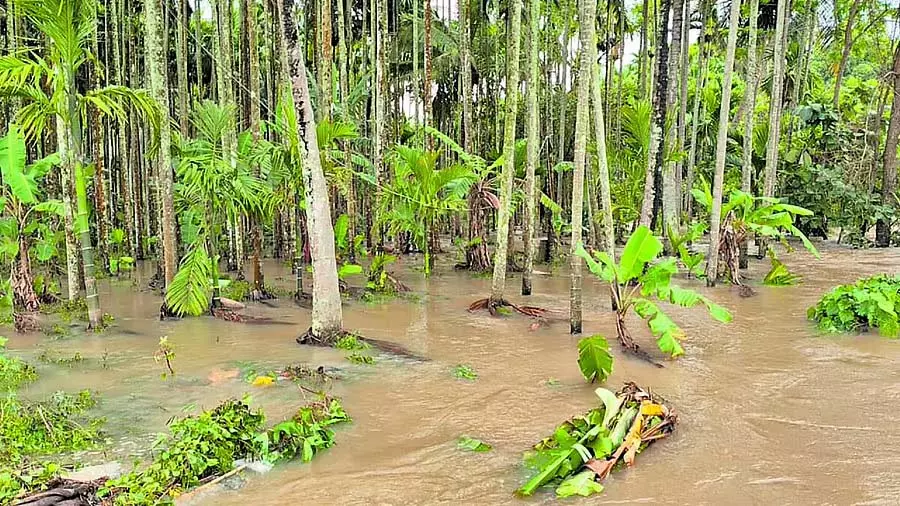 राज्य के अलग-अलग हिस्सों में बारिश: झीलें ओवरफ्लो, फसलों को नुकसान राज्य के अलग-अलग हिस्सों में बारिश: झीलें ओवरफ्लो, फसलों को नुकसान