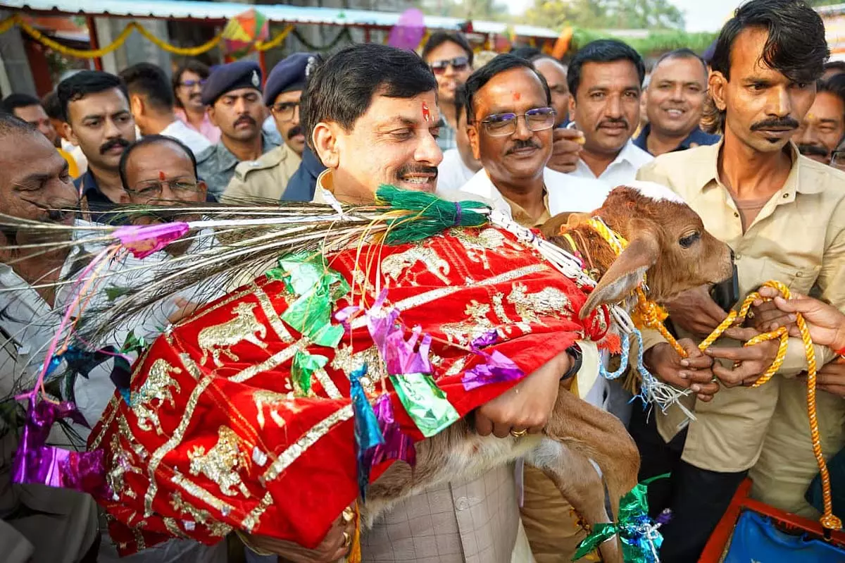 CM ने तिलकेश्वर मंदिर में गोवर्धन पूजा की; उज्जैन में महाकाल के साथ दिवाली मनाई CM ने तिलकेश्वर मंदिर में गोवर्धन पूजा की; उज्जैन में महाकाल के साथ दिवाली मनाई