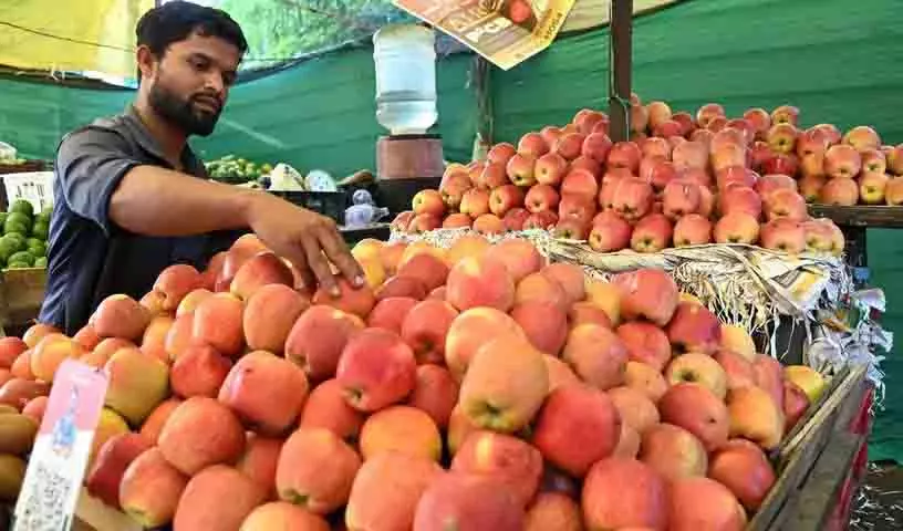 Hyderabad के बाजारों में कश्मीरी सेबों से लदे ट्रकों की बाढ़ Hyderabad के बाजारों में कश्मीरी सेबों से लदे ट्रकों की बाढ़