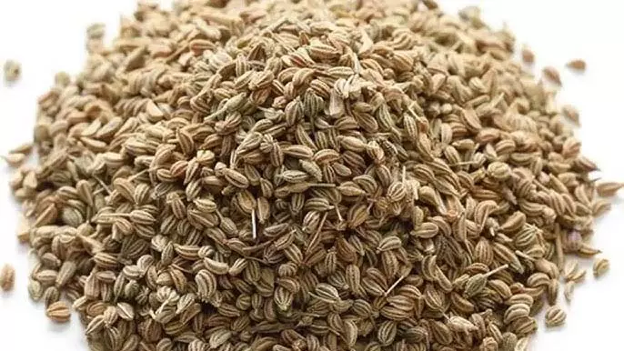 स्वास्थ्य और तंदुरुस्ती के लिए अजवाइन के असीमित लाभ स्वास्थ्य और तंदुरुस्ती के लिए अजवाइन के असीमित लाभ