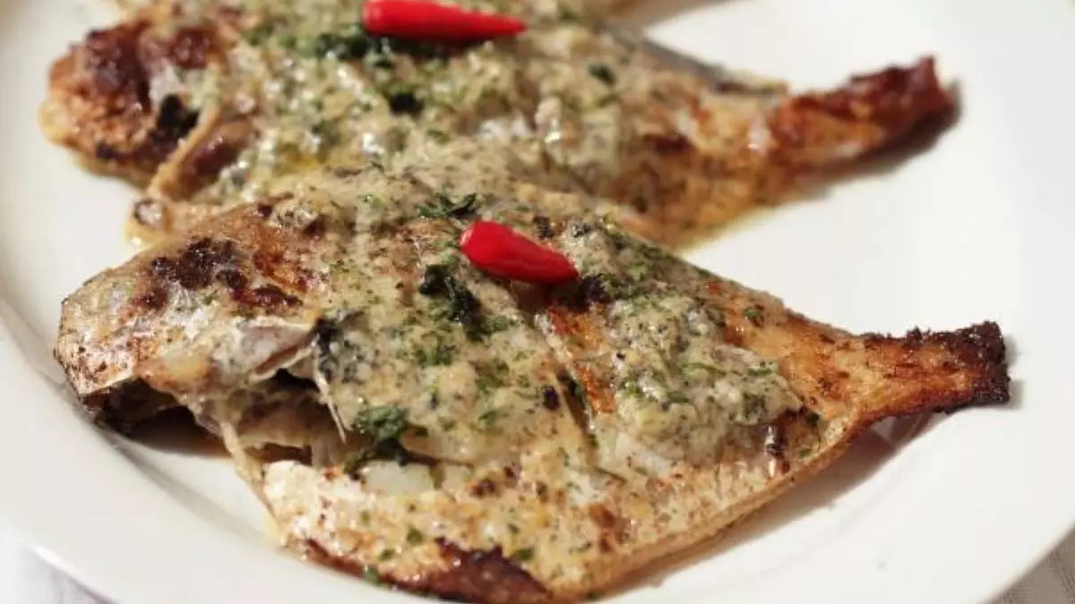 Pomfret में अब नमक नहीं, बस इस मखमली व्यंजन पर दही लगाएँ Pomfret में अब नमक नहीं, बस इस मखमली व्यंजन पर दही लगाएँ