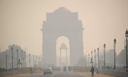 प्रदूषण में सांस लेना हो रहा मुश्किल: इन चीजों को खाने में करें शामिल और बनाएं फेफड़ों को मजबूत