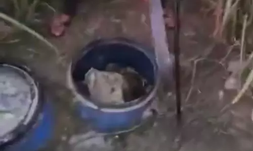 Kathua: शराब माफिया पर करारी कार्रवाई, 1000 लीटर लाहन किया नष्ट Kathua: शराब माफिया पर करारी कार्रवाई, 1000 लीटर लाहन किया नष्ट