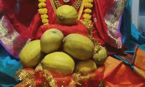 Chittorgarh: हजारेश्वर महादेव मंदिर में दीपावली विशेष झांकी