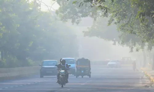 दिवाली के बाद पंजाब और हरियाणा में AQI गंभीर और खतरनाक श्रेणी में पहुंचा दिवाली के बाद पंजाब और हरियाणा में AQI गंभीर और खतरनाक श्रेणी में पहुंचा