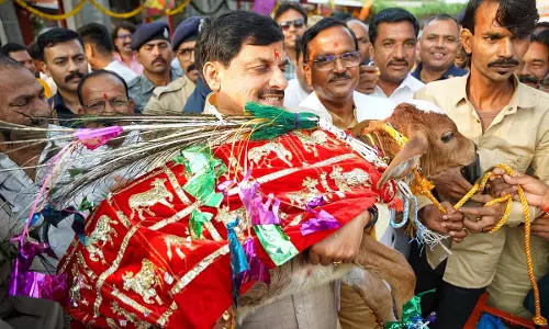 CM ने तिलकेश्वर मंदिर में गोवर्धन पूजा की; उज्जैन में महाकाल के साथ दिवाली मनाई CM ने तिलकेश्वर मंदिर में गोवर्धन पूजा की; उज्जैन में महाकाल के साथ दिवाली मनाई