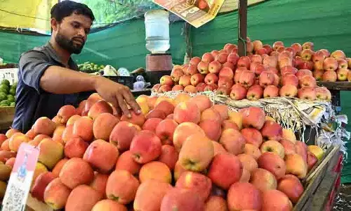 Hyderabad के बाजारों में कश्मीरी सेबों से लदे ट्रकों की बाढ़