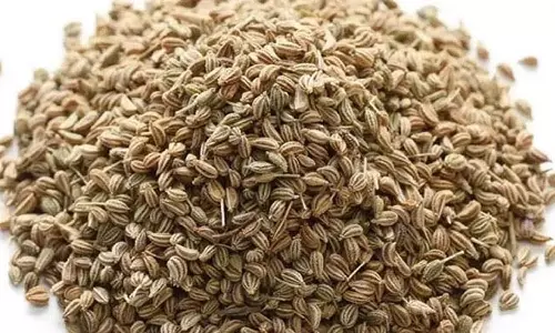 स्वास्थ्य और तंदुरुस्ती के लिए अजवाइन के असीमित लाभ