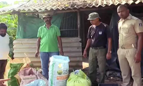 Balasore के पुराने स्टेडियम से छापेमारी में अवैध पटाखे जब्त Balasore के पुराने स्टेडियम से छापेमारी में अवैध पटाखे जब्त