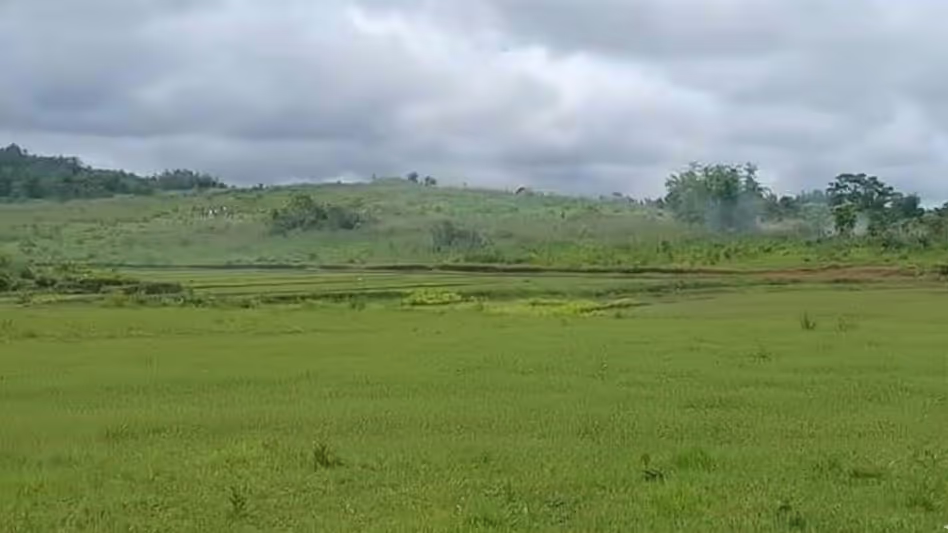 असम-मेघालय सीमा पर शांति बहाल, धान की कटाई फिर शुरू होगी असम-मेघालय सीमा पर शांति बहाल, धान की कटाई फिर शुरू होगी