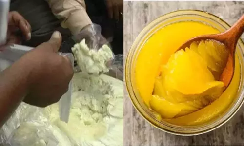पुलिस ने नकली घी फैक्ट्री का भंडाफोड़ किया, सोशल मीडिया से लिया था आइडिया पुलिस ने नकली घी फैक्ट्री का भंडाफोड़ किया, सोशल मीडिया से लिया था आइडिया