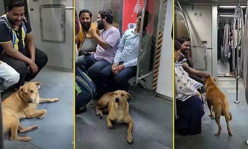 Kali Puja की रात मेट्रो में घूम रहे आवारा कुत्ते, वायरल वीडियो का फैक्ट चेक अब ऑनलाइन Kali Puja की रात मेट्रो में घूम रहे आवारा कुत्ते, वायरल वीडियो का फैक्ट चेक अब ऑनलाइन