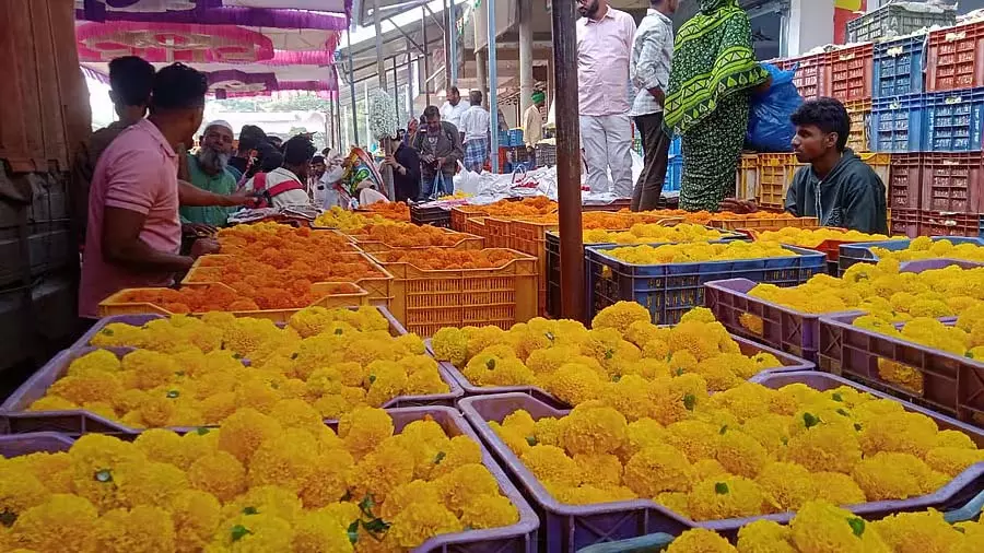 Hubli Flowers: कीमत में गिरावट, किसान मुश्किल में Hubli Flowers: कीमत में गिरावट, किसान मुश्किल में