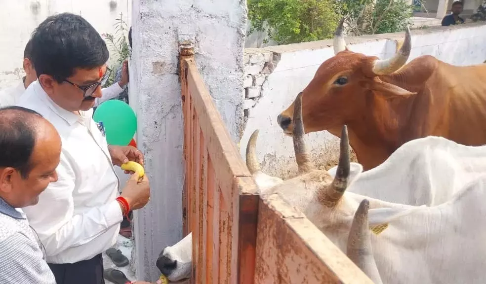 Farrukhabad: गौअष्टमी के अवसर पर डीएम ने कान्हा गौशाला में की पूजा Farrukhabad: गौअष्टमी के अवसर पर डीएम ने कान्हा गौशाला में की पूजा