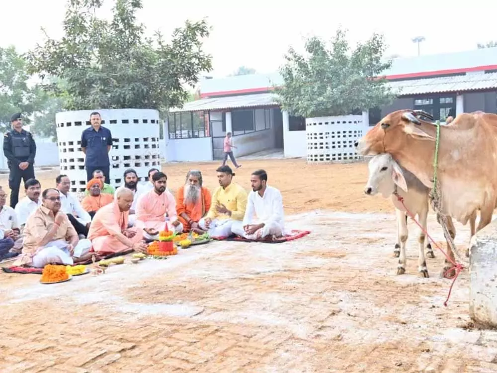 Gorakhpur: सीएम योगी ने गोवर्धन पूजा पर दिखाया गोपालक रूप Gorakhpur: सीएम योगी ने गोवर्धन पूजा पर दिखाया गोपालक रूप