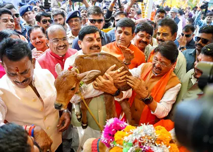गायें हमेशा इंसानों के बीच रहना पसंद करती हैं: गोवर्धन पूजा पर MP के सीएम गायें हमेशा इंसानों के बीच रहना पसंद करती हैं: गोवर्धन पूजा पर MP के सीएम