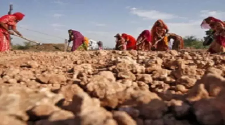 वित्त वर्ष 2027 का बजट MGNREGA व्यय का रिकॉर्ड बना सकता है, वित्त वर्ष 2026 का अनुमान अपरिवर्तित वित्त वर्ष 2027 का बजट MGNREGA व्यय का रिकॉर्ड बना सकता है, वित्त वर्ष 2026 का अनुमान अपरिवर्तित