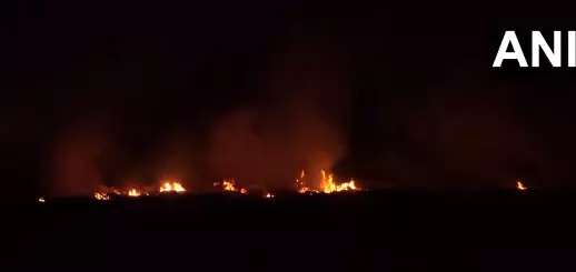 बाबा बकाला में पराली जलाने की घटना, प्रशासन ने किसानों को नोटिस जारी बाबा बकाला में पराली जलाने की घटना, प्रशासन ने किसानों को नोटिस जारी