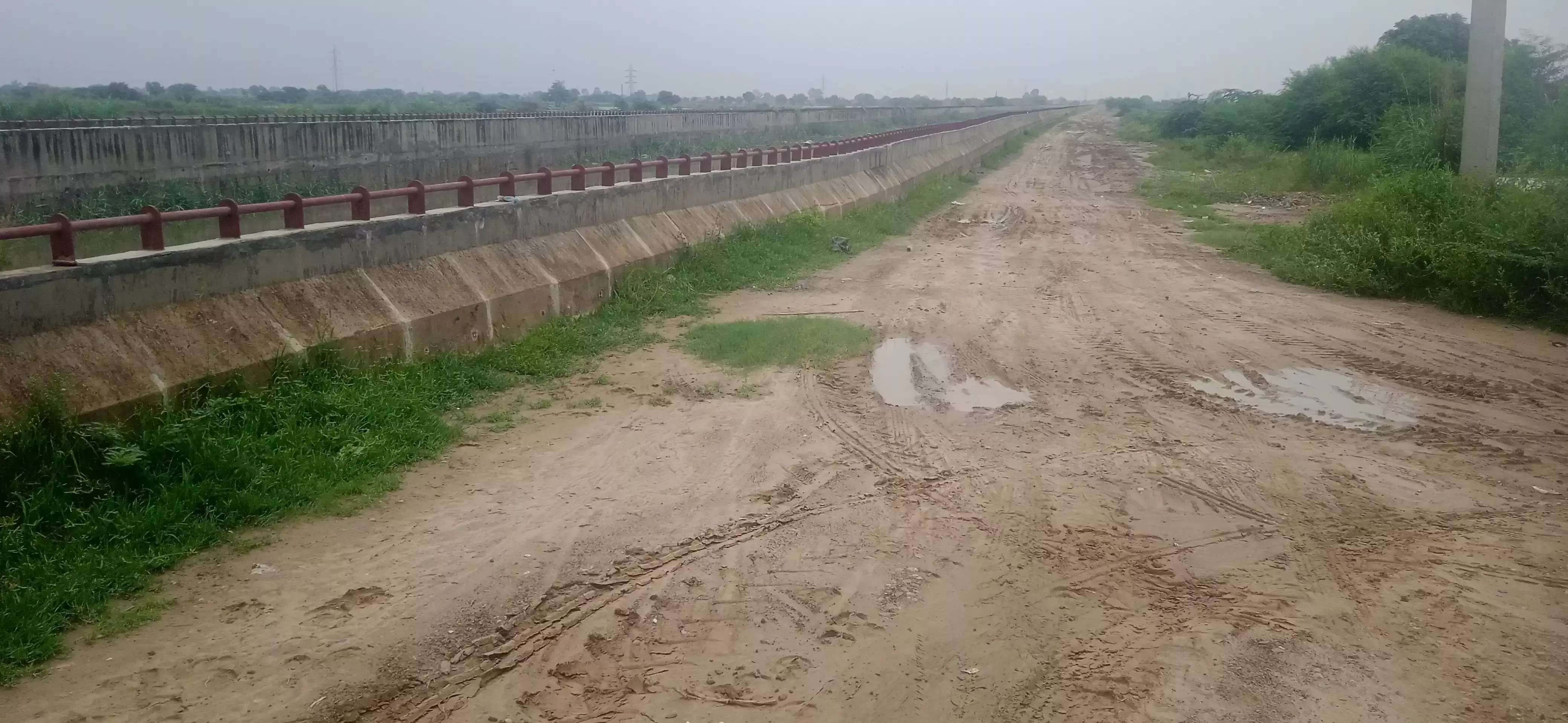 Jhajjar: उत्तरी बाइपास के लिए बहादुरगढ़ में वृक्ष कटान की प्रक्रिया शुरू Jhajjar: उत्तरी बाइपास के लिए बहादुरगढ़ में वृक्ष कटान की प्रक्रिया शुरू