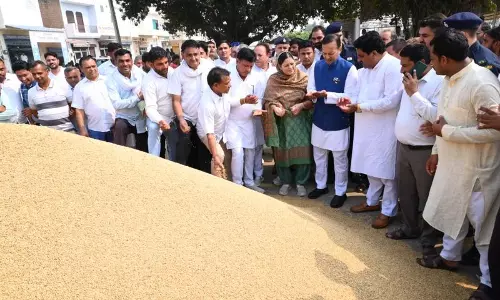 Haryana :  क्षेत्र सांसद जिंदल ने कलायत अनाज मंडी में धान खरीद की समीक्षा की